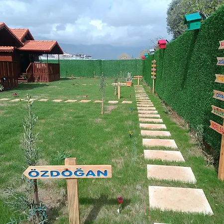 Chalet Alin Goekce Ev